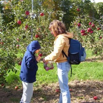 a student and instructor picking apples